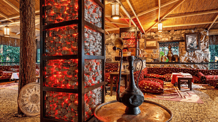 Gypsophila Club Marine